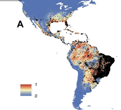 Dengue: Epidemiología y manejo clínico en el primer nivel de atención